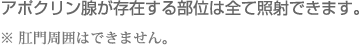 アポクリン腺が存在する部位は全て照射できます。※ 肛門周囲はできません。