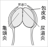 AiہjATE牊i^ہj
